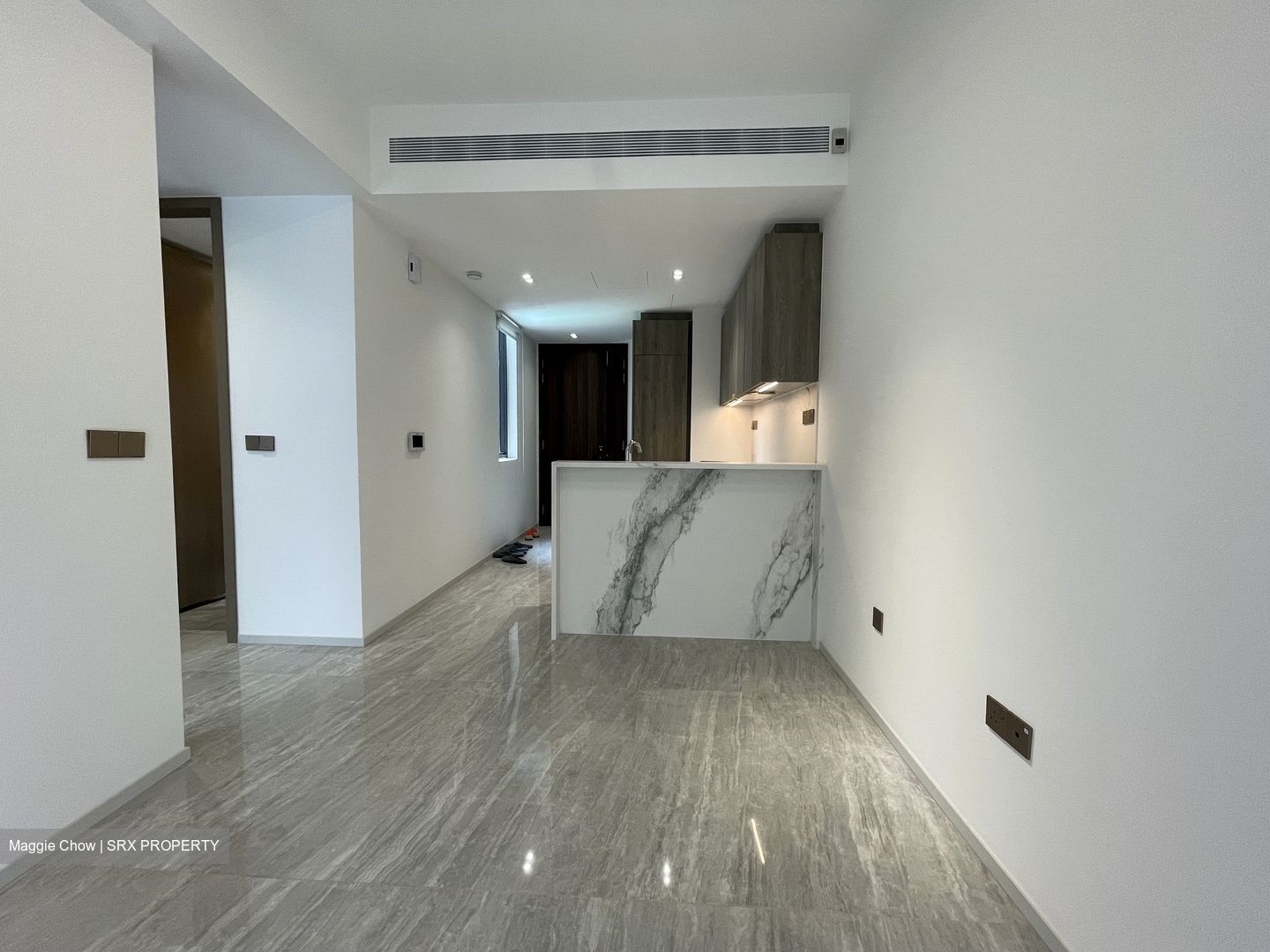 Leedon Green (D10), Condominium #432216571
